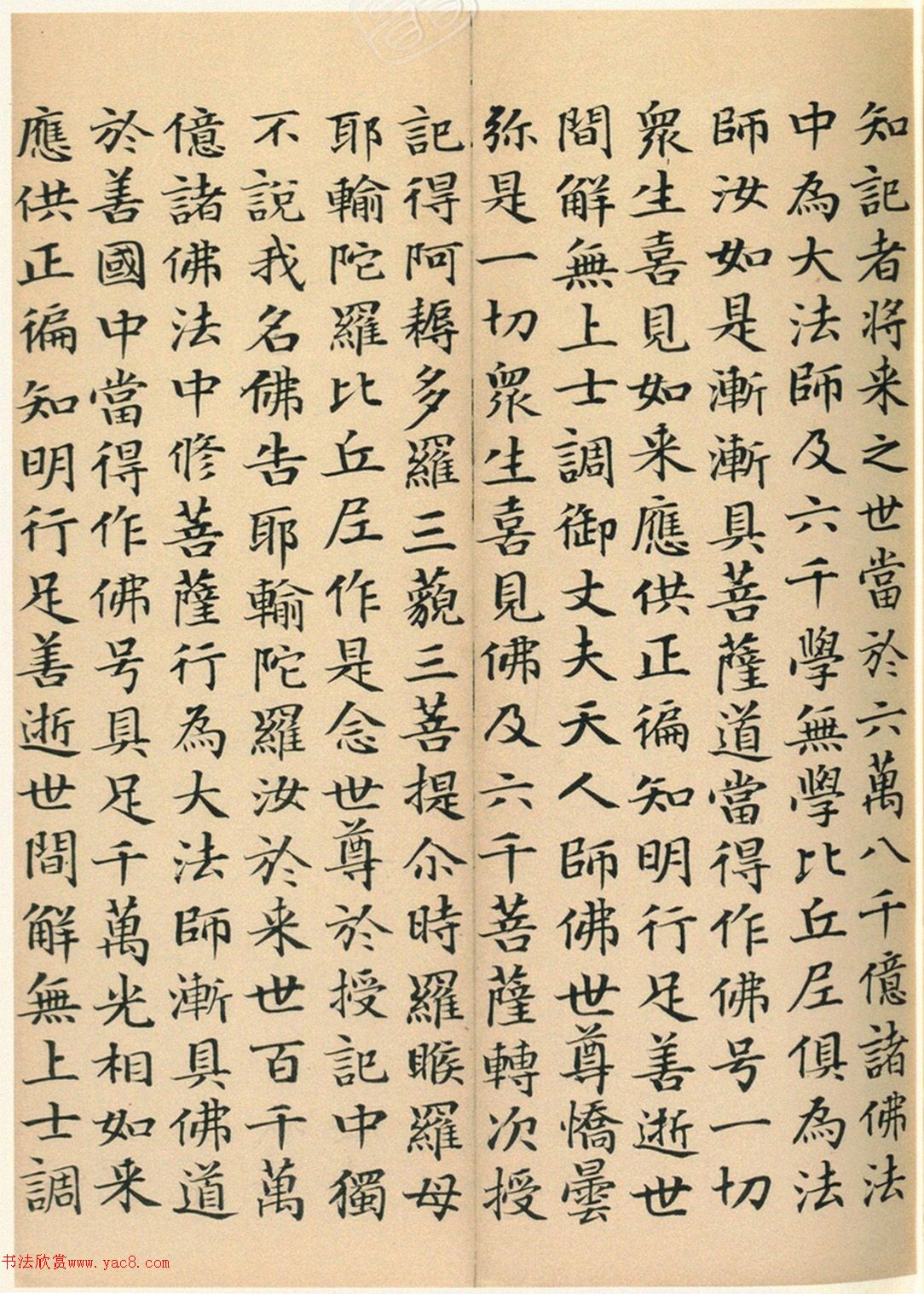 �����G���顶��������ᡷ���ľ�