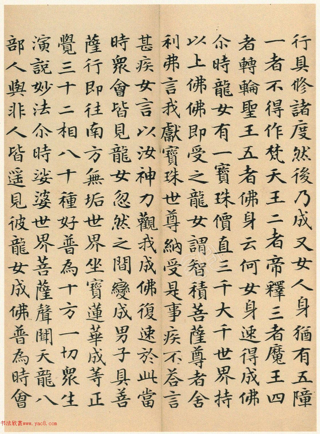 �����G���顶��������ᡷ���ľ�