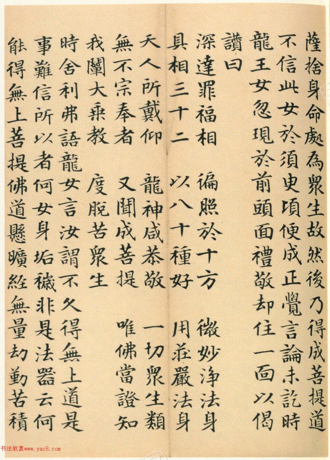 �����G���顶��������ᡷ���ľ�