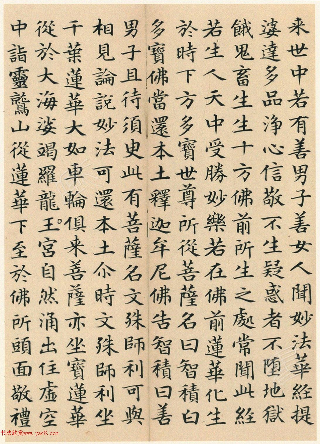 �����G���顶��������ᡷ���ľ�