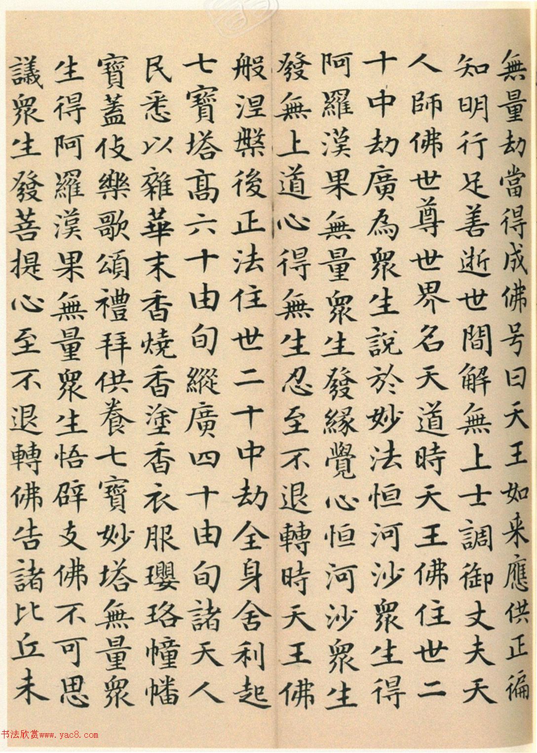 �����G���顶��������ᡷ���ľ�