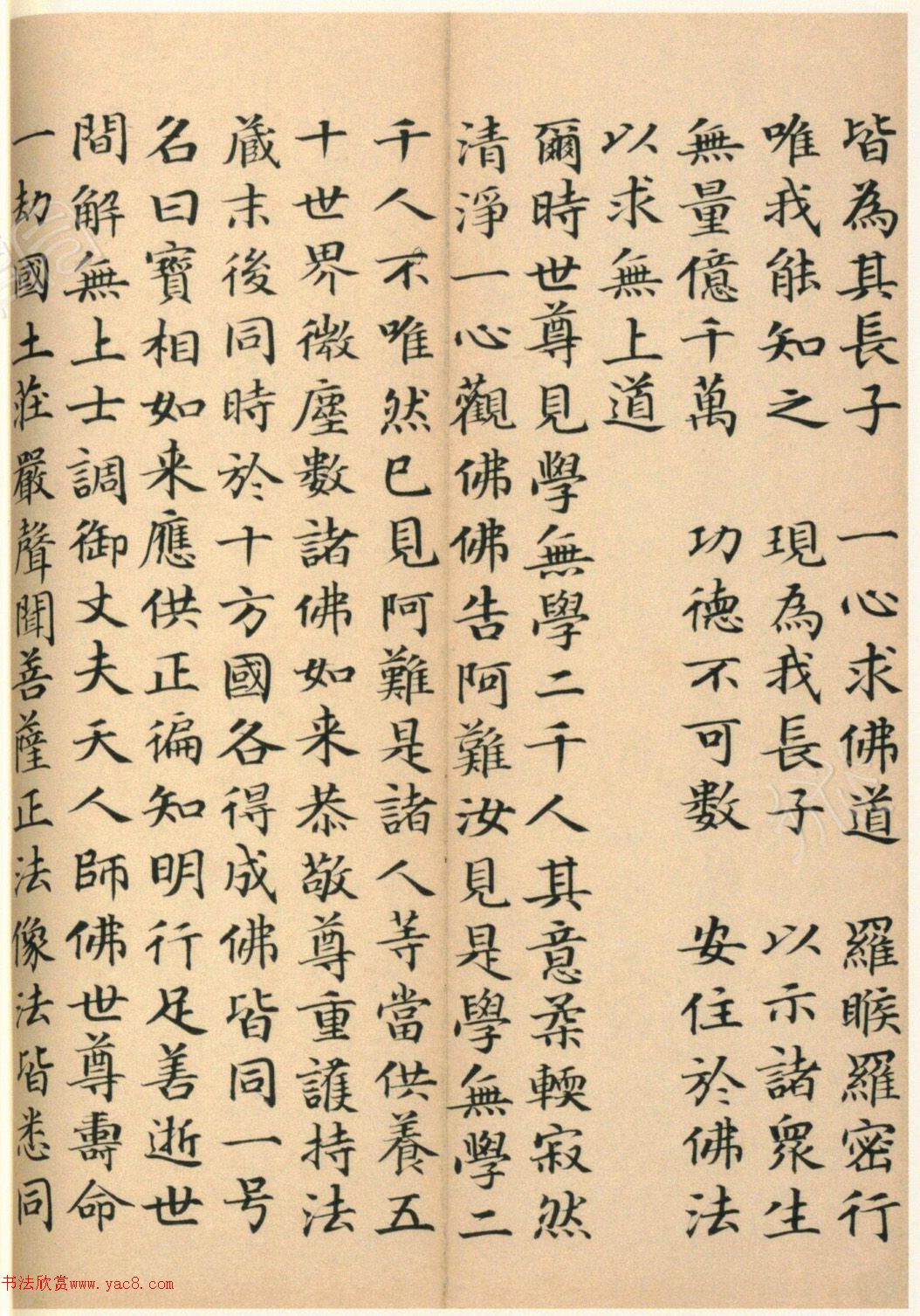 �����G���顶��������ᡷ���ľ�