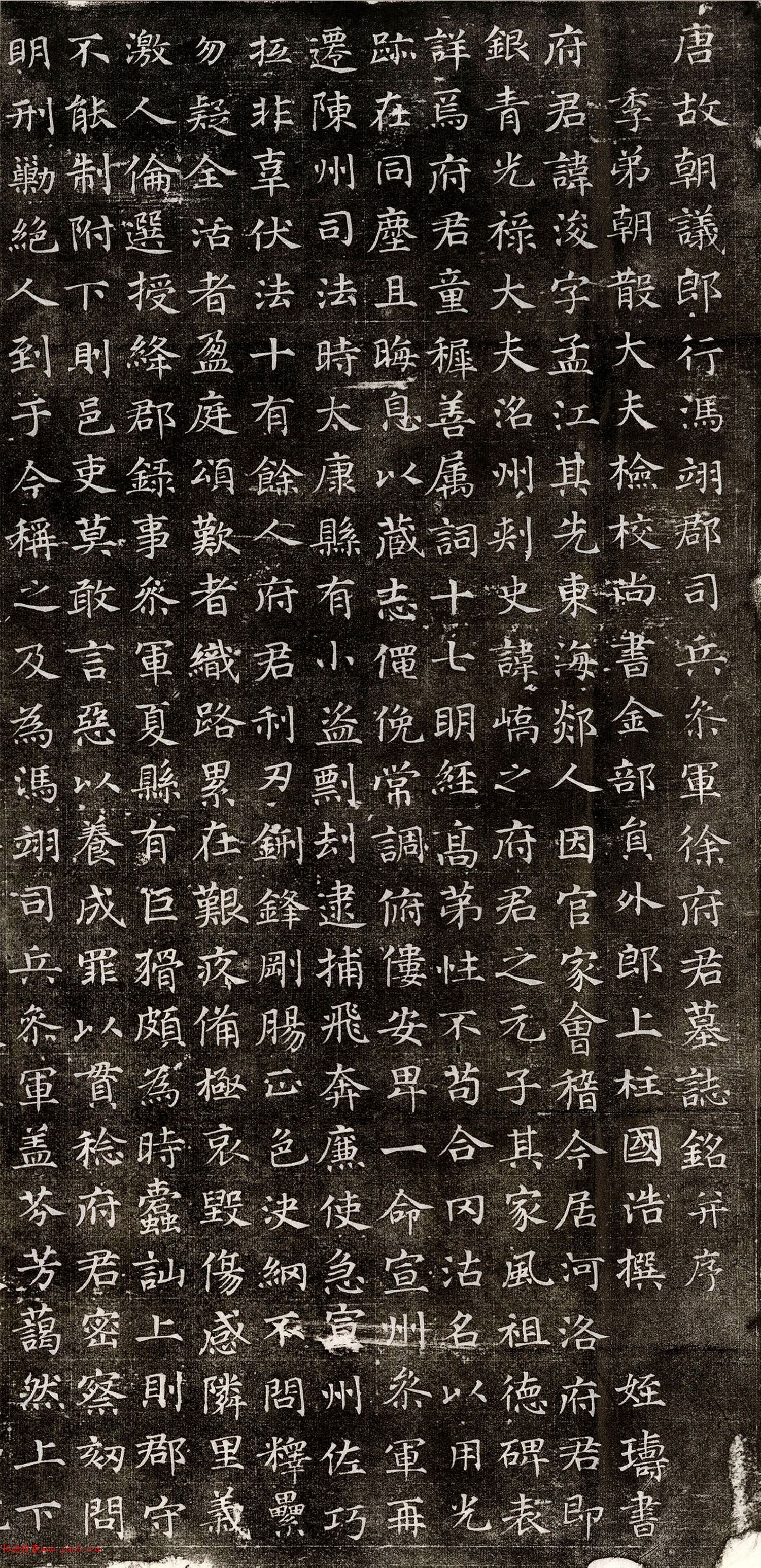 �ƴ���q���顶�쿣Ĺ־��