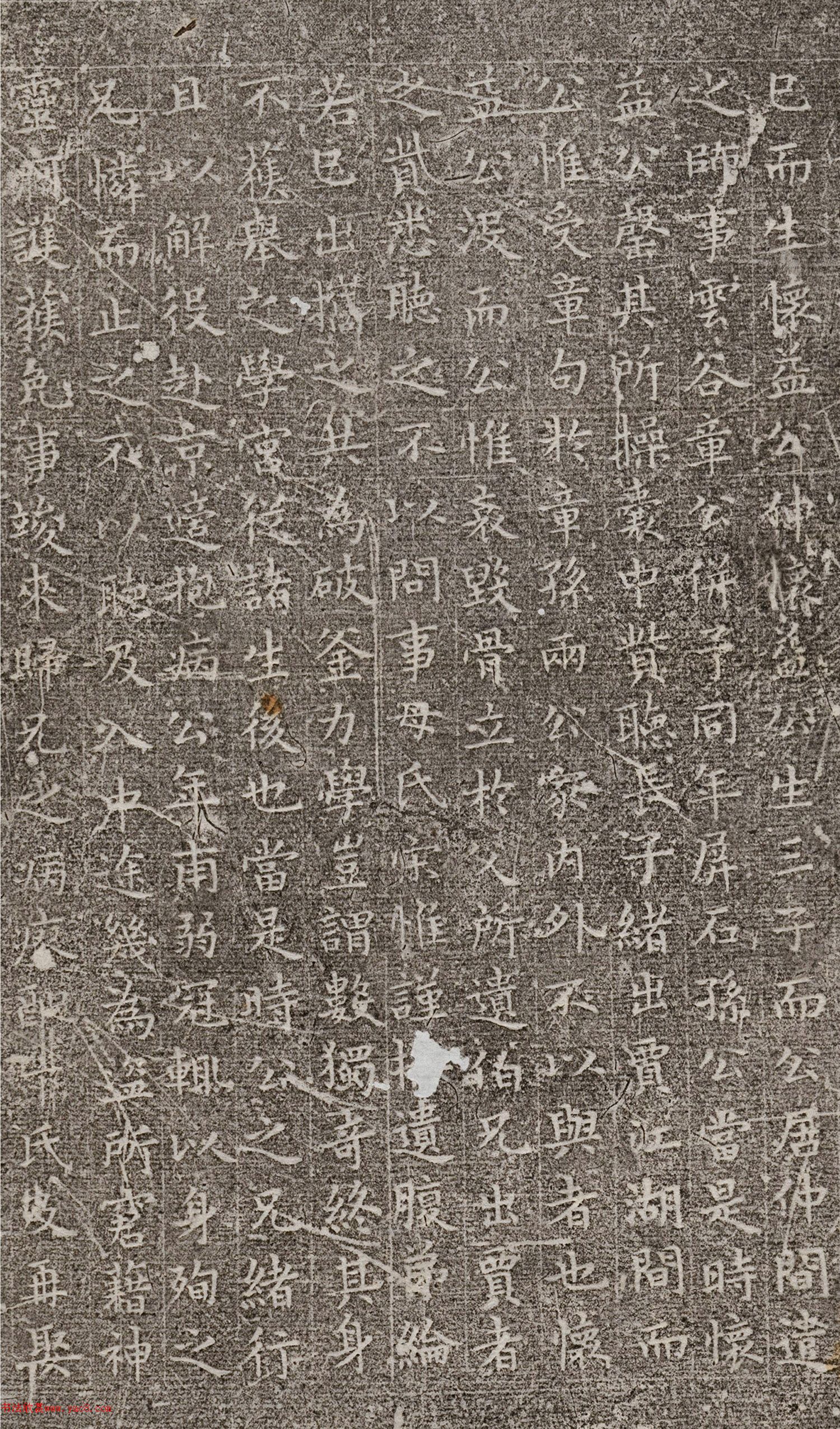 ף����С���顶����Ĺ־��