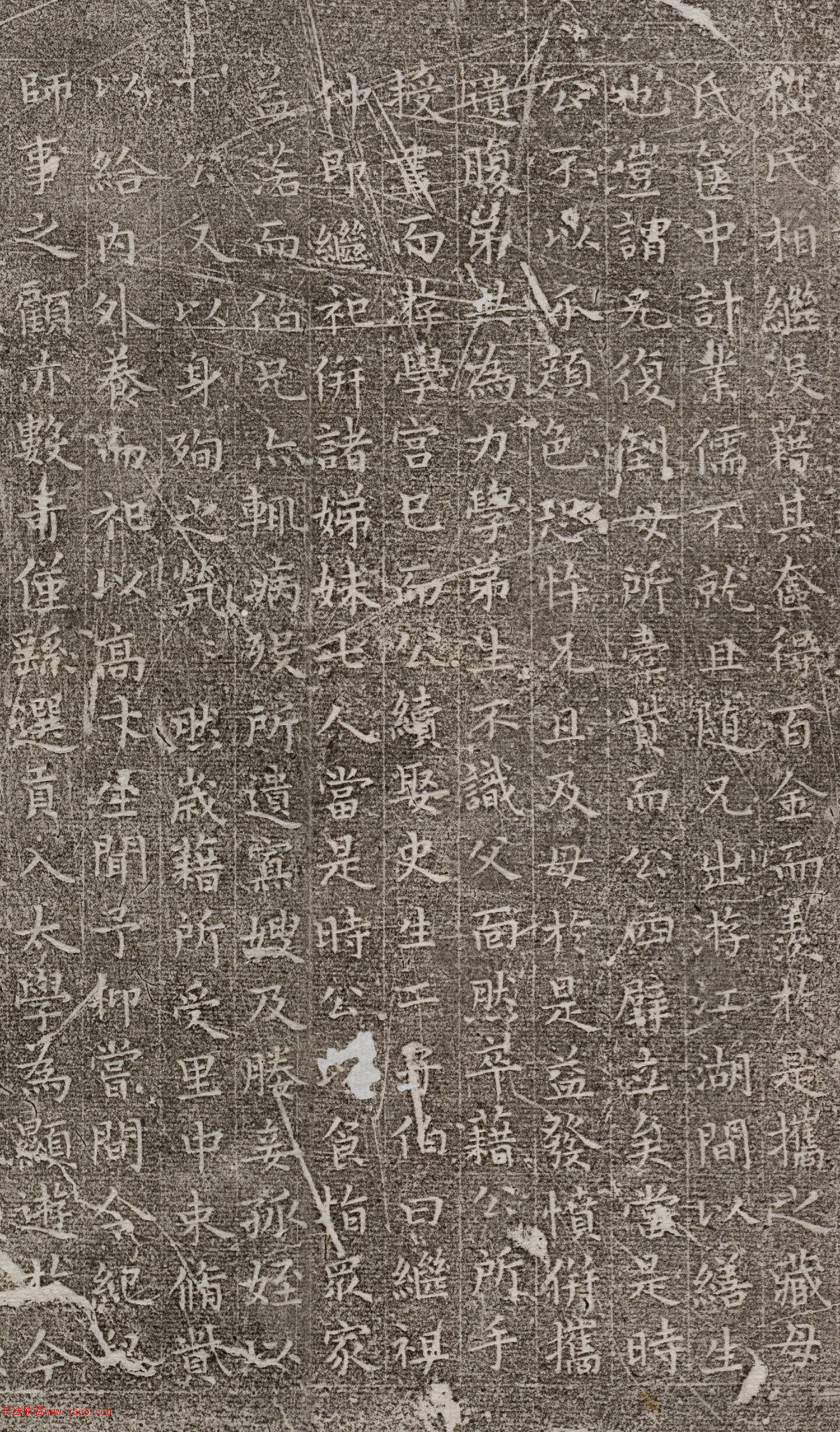 ף����С���顶����Ĺ־��