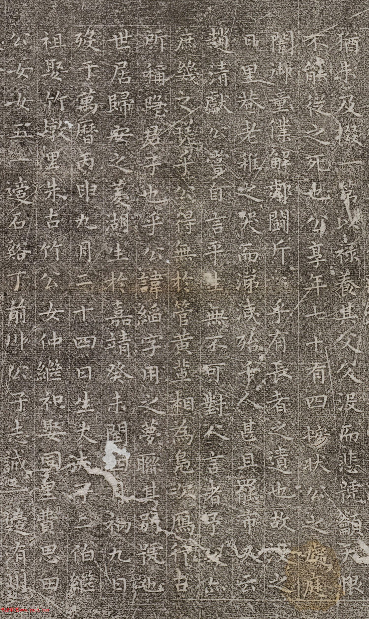 ף����С���顶����Ĺ־��