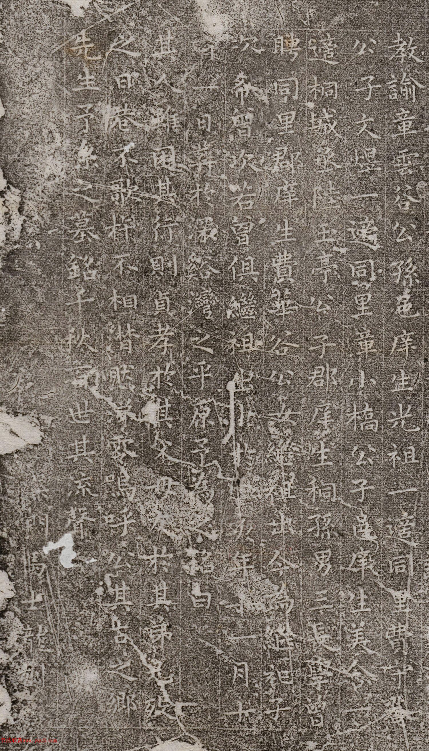 ף����С���顶����Ĺ־��