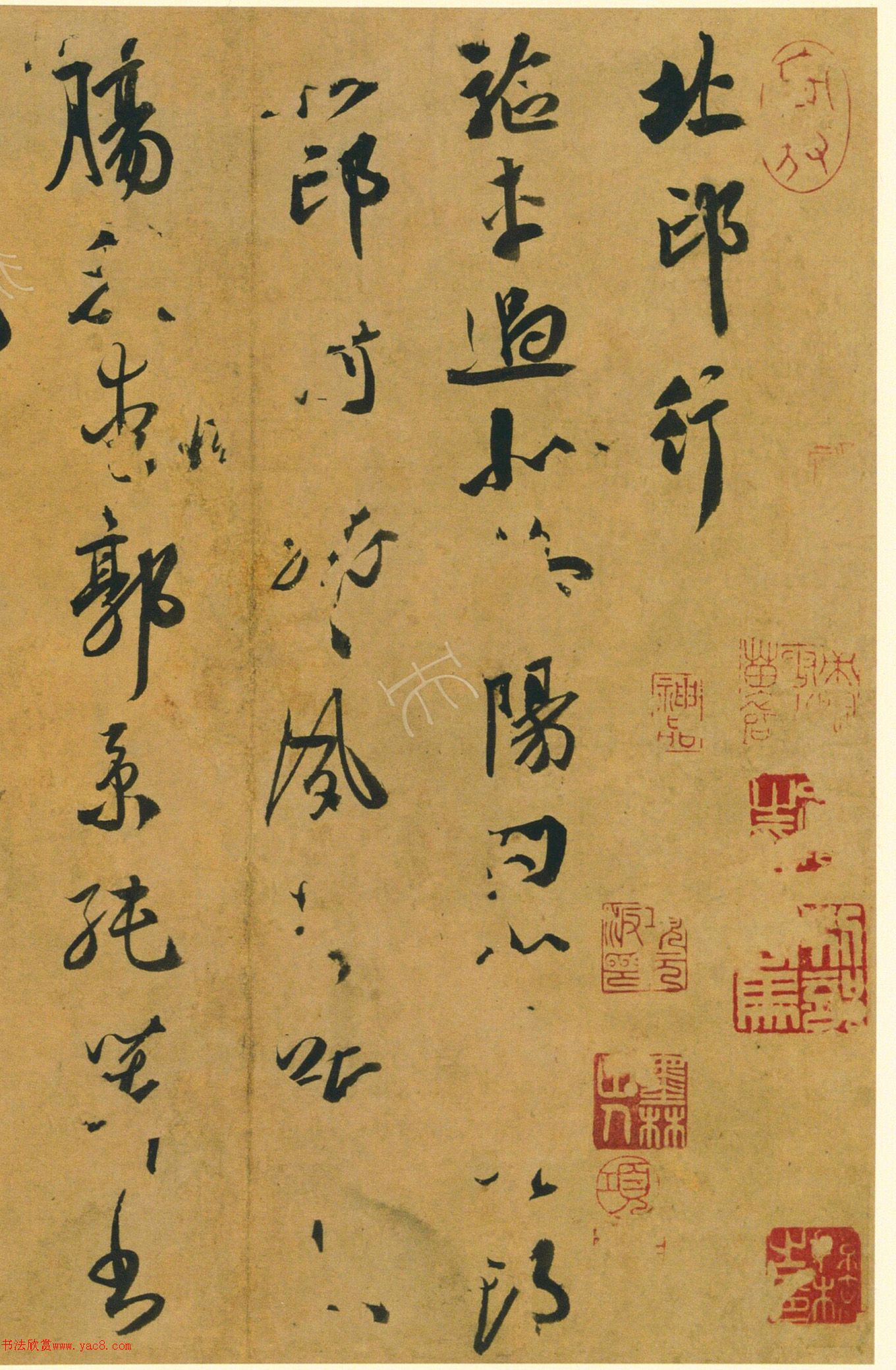 ף�����в��顶�����С�