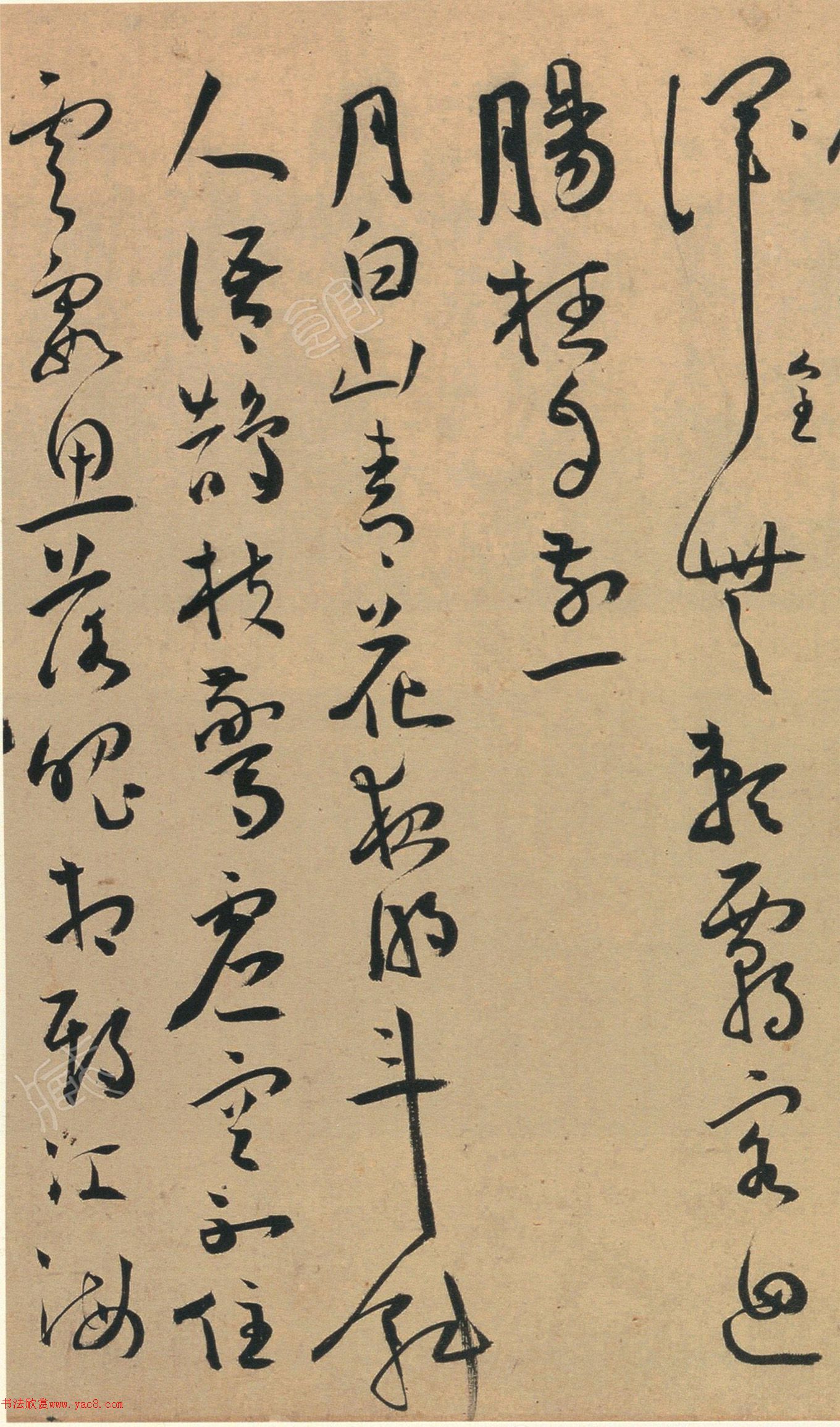 �����в���ʫ����ͨ