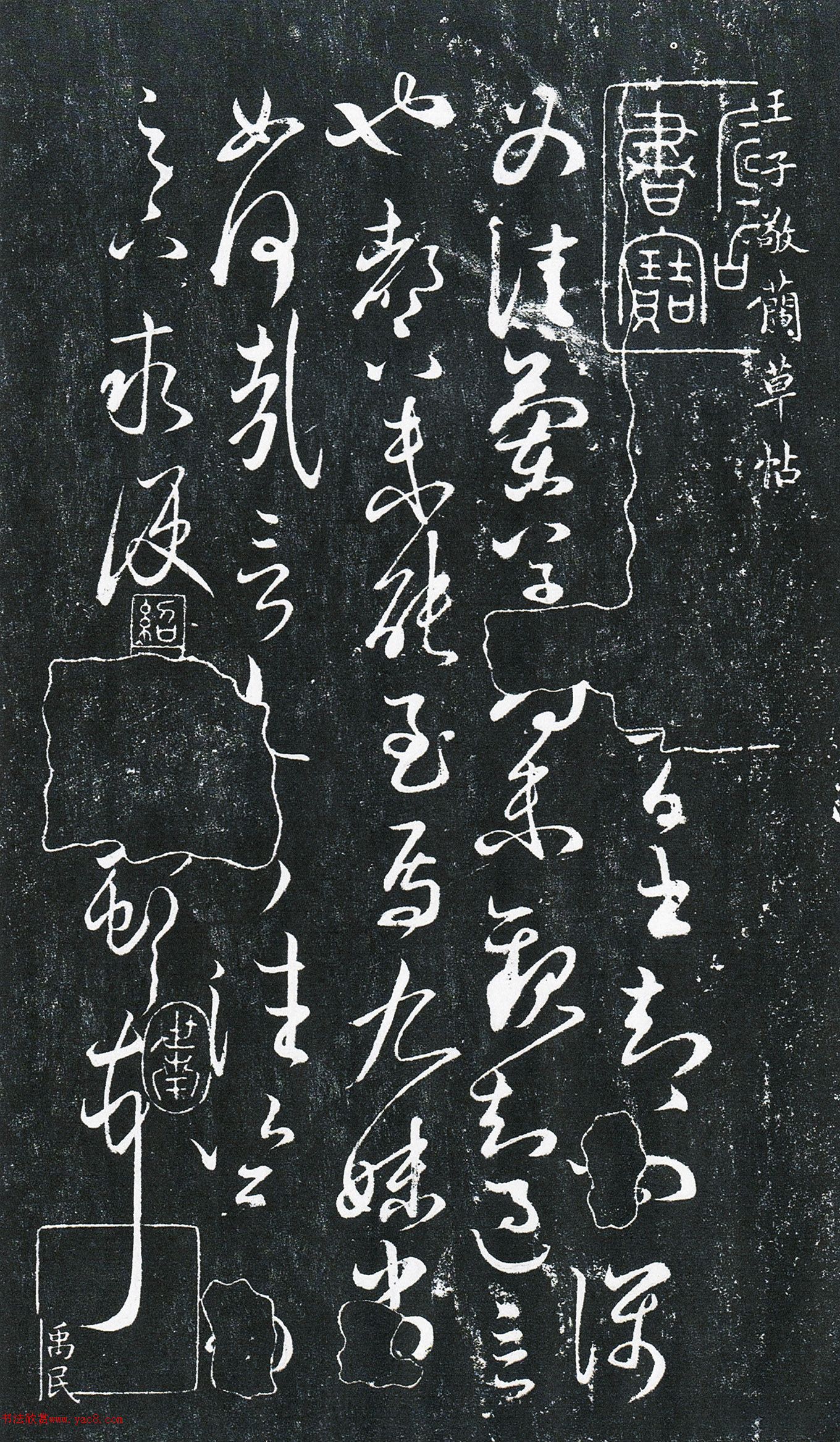 ����֮���顶��������