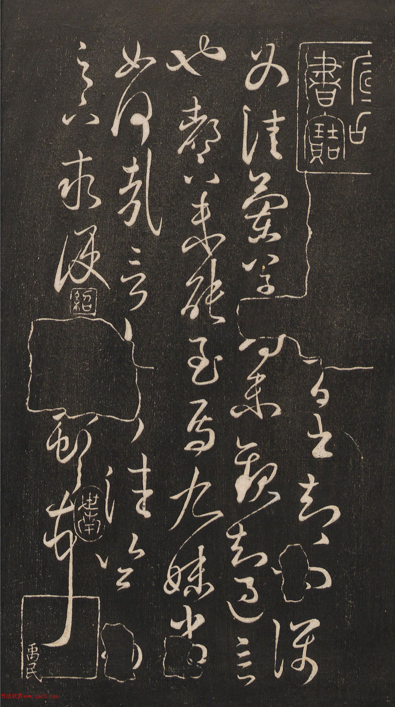 ����֮���顶��������