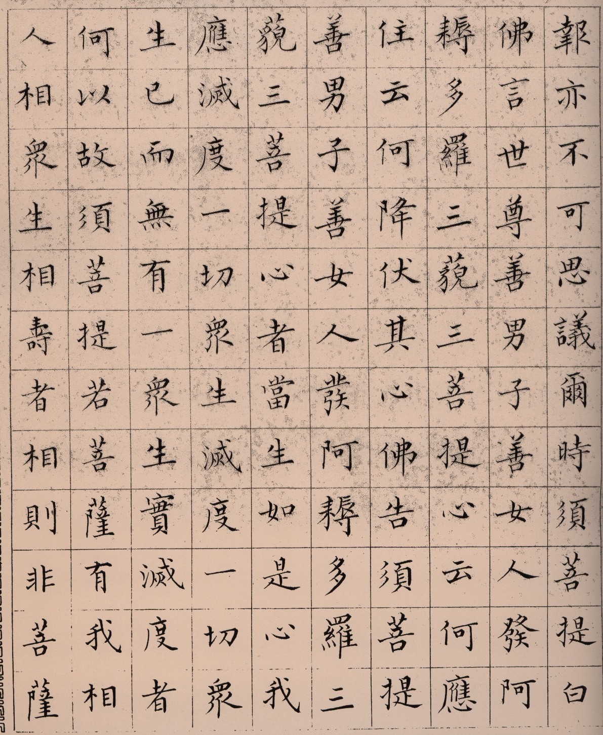 ����С������հ��������۾���