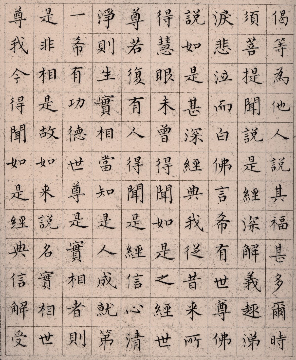 ����С������հ��������۾���