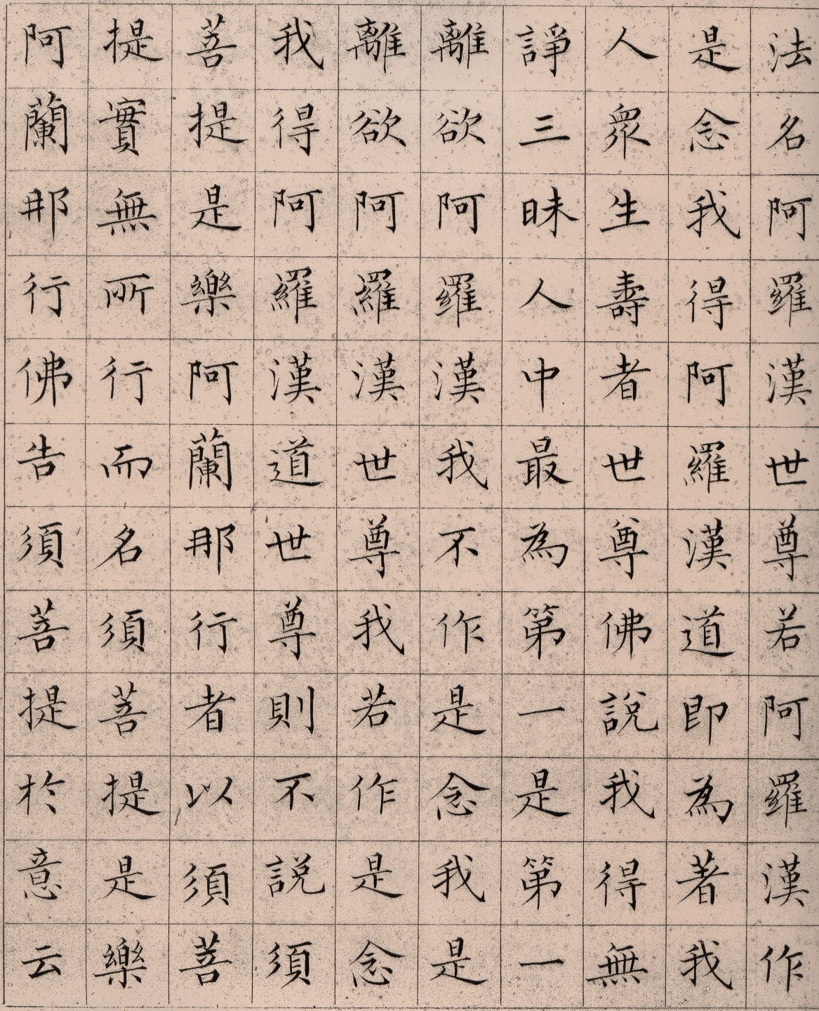 ����С������հ��������۾���