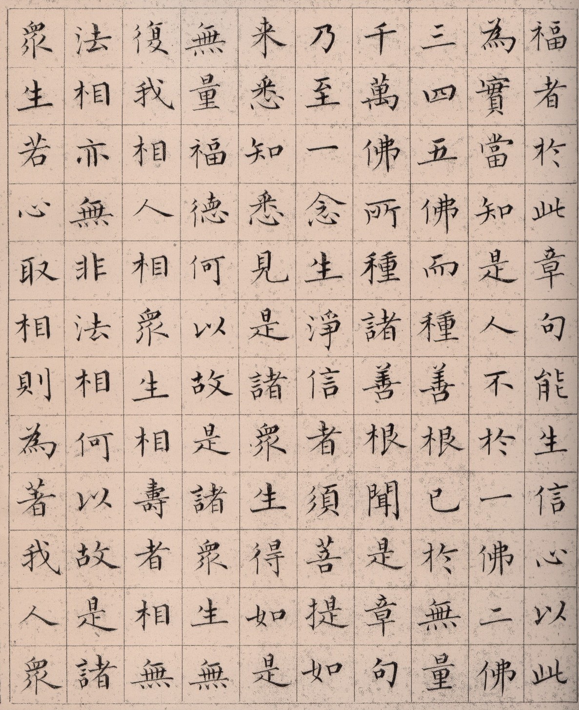 ����С������հ��������۾���