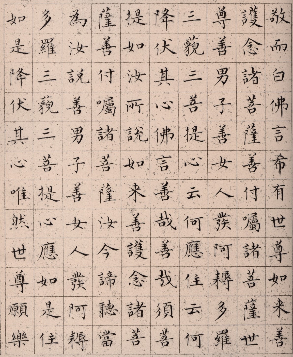 ����С������հ��������۾���