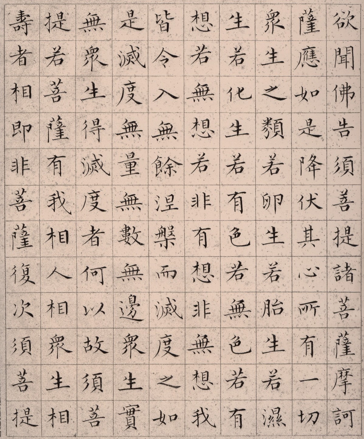 ����С������հ��������۾���