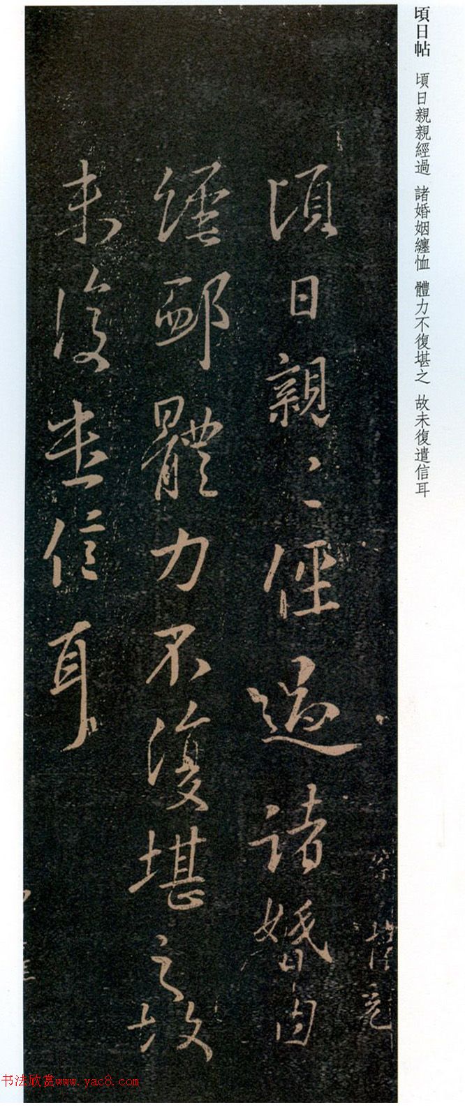 ����֮���顶��������