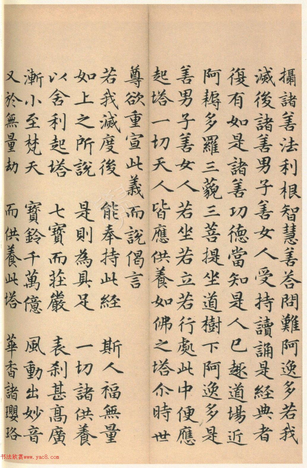 �����G���顶��������ᡷ����