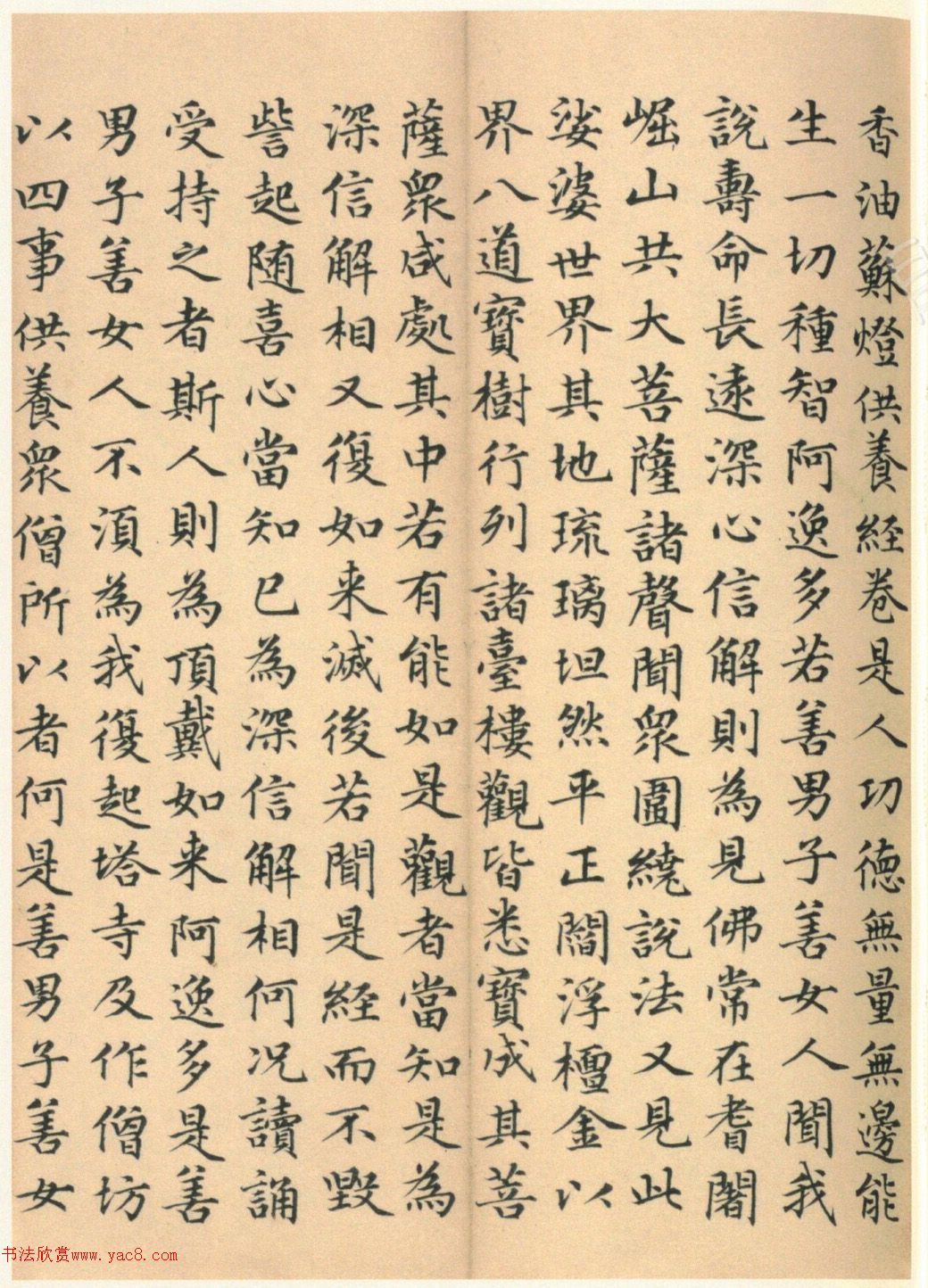 �����G���顶��������ᡷ����