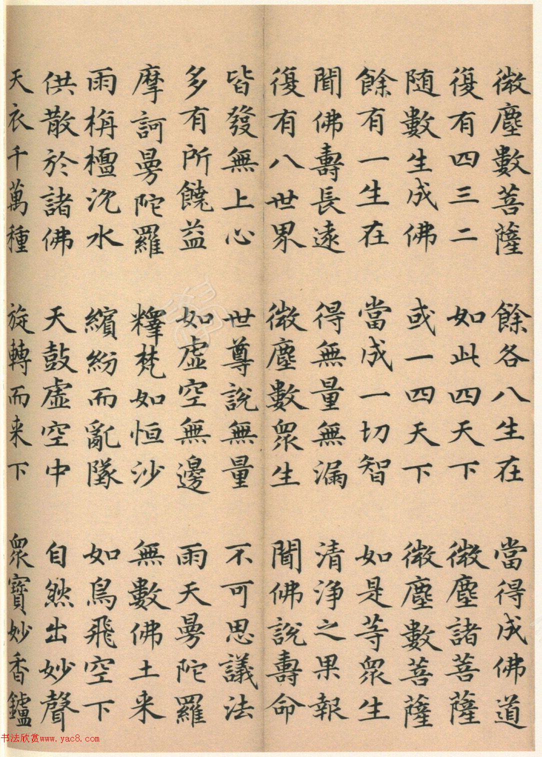 �����G���顶��������ᡷ����