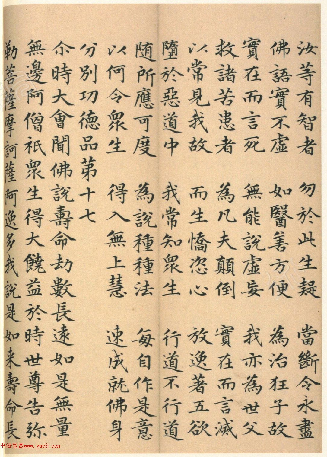 �����G���顶��������ᡷ����