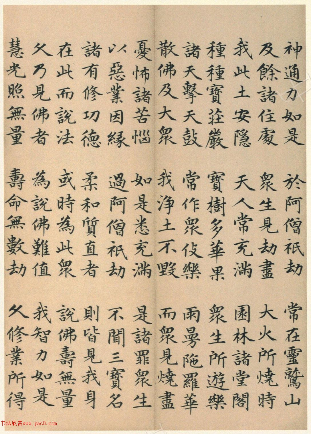 �����G���顶��������ᡷ����