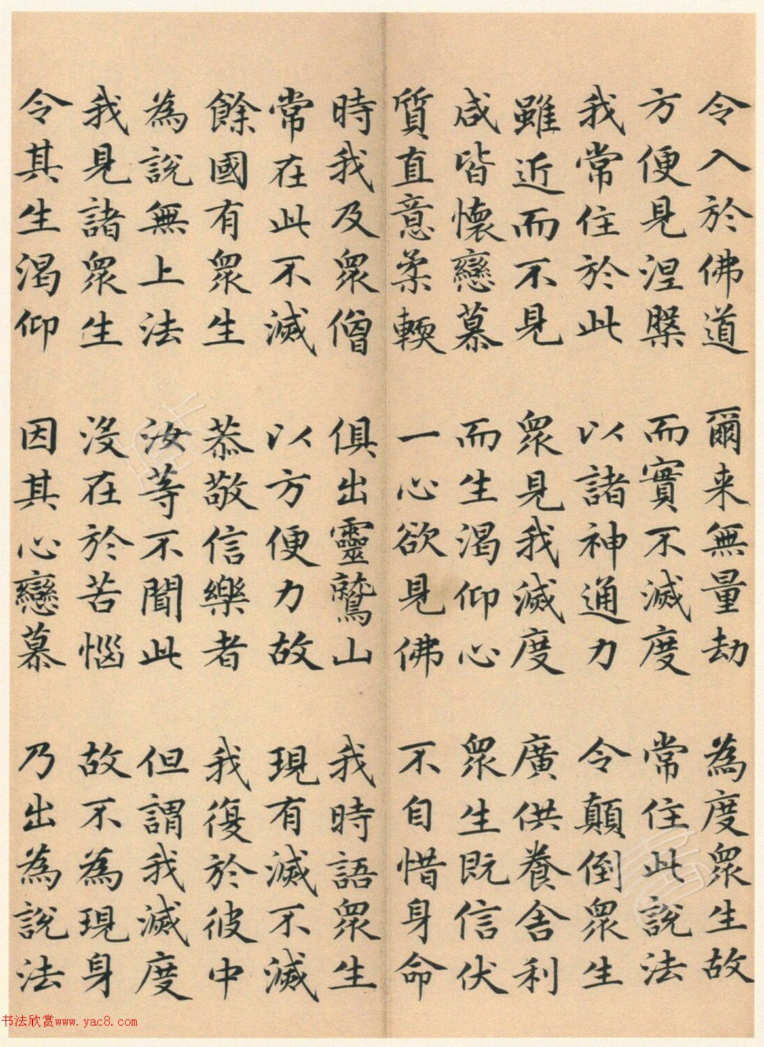 �����G���顶��������ᡷ����