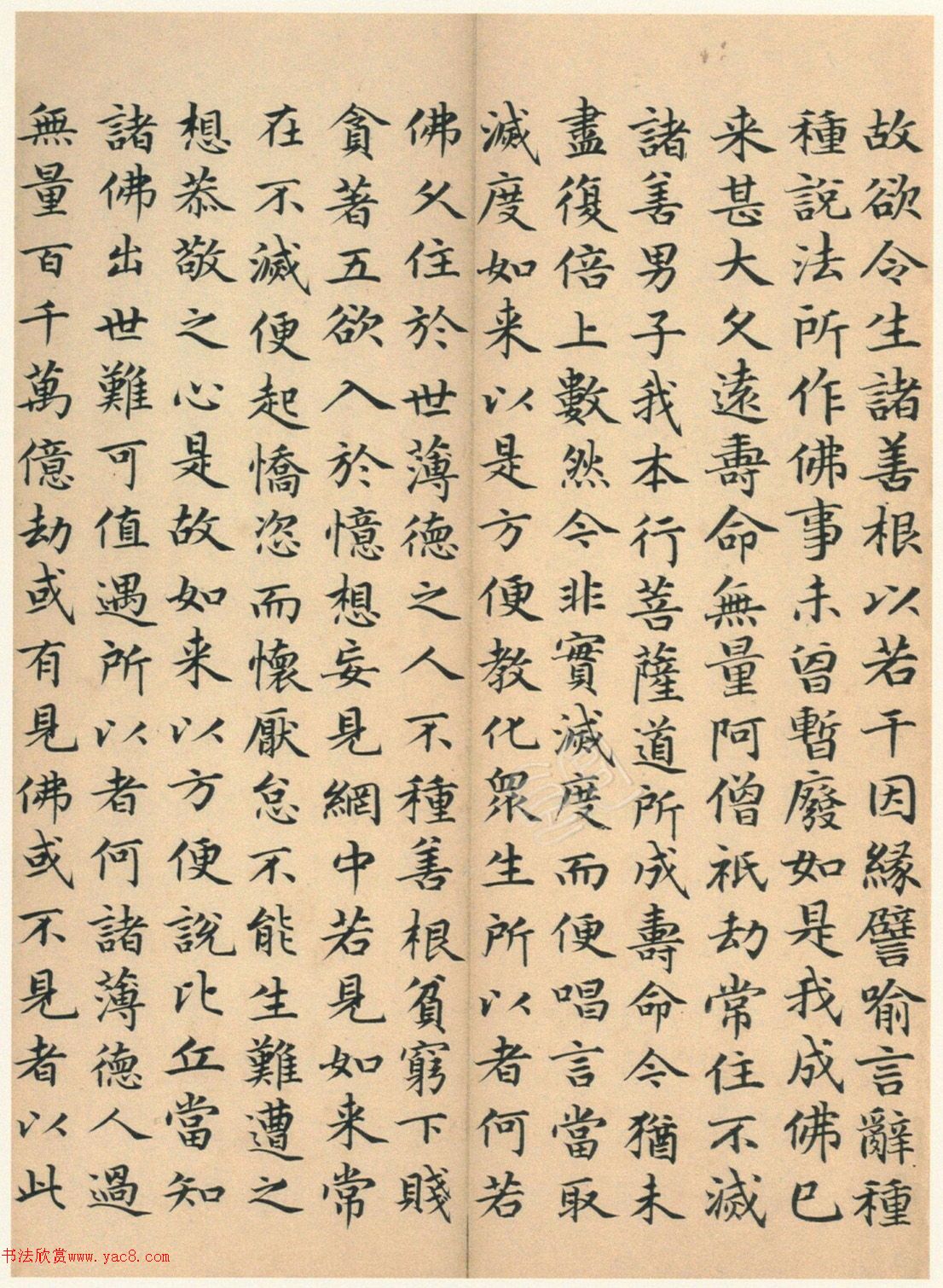 �����G���顶��������ᡷ����