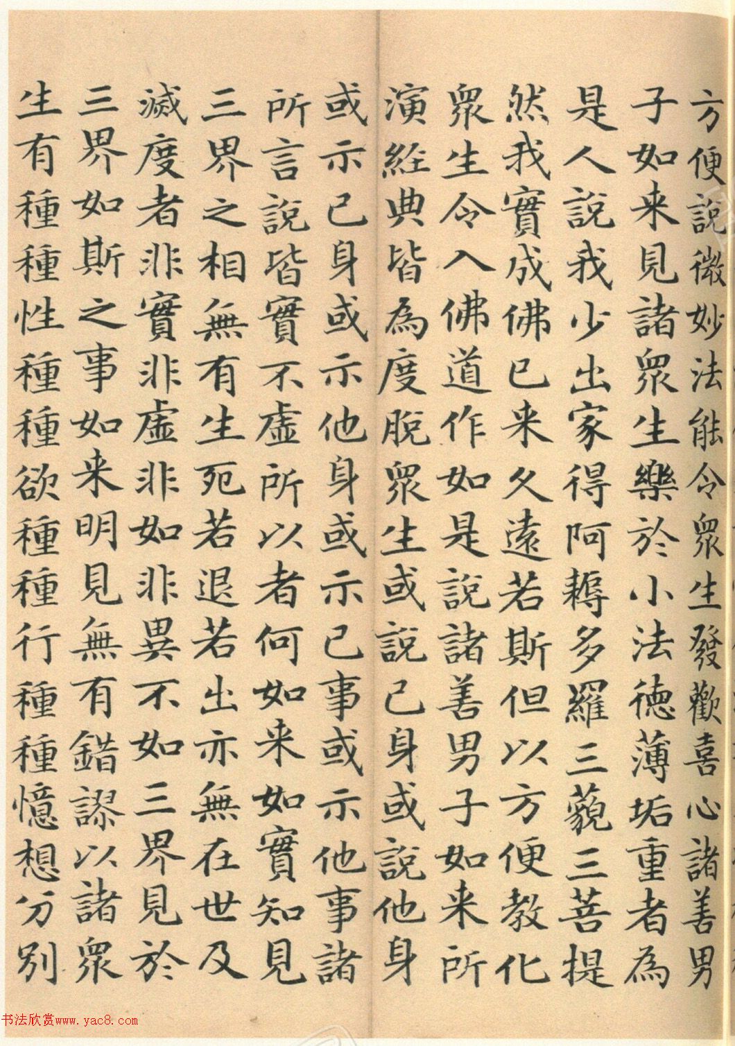 �����G���顶��������ᡷ����