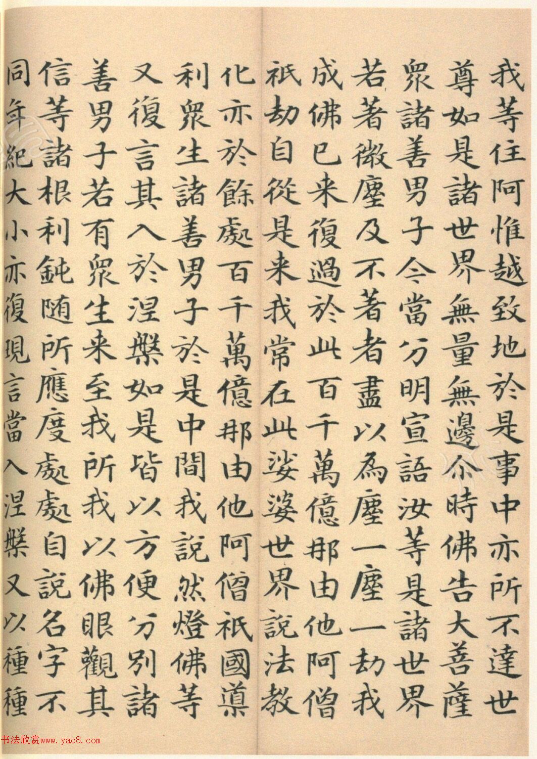 �����G���顶��������ᡷ����