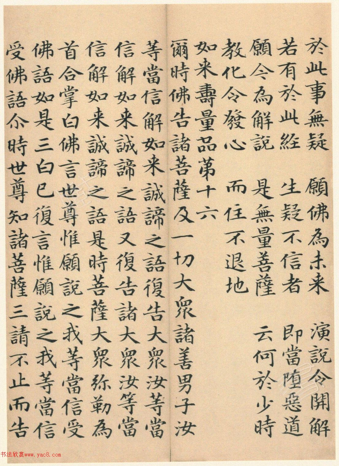 �����G���顶��������ᡷ����