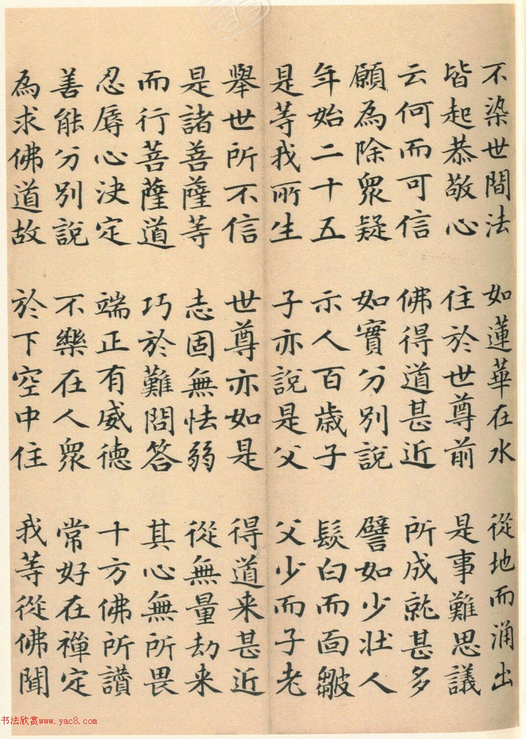 �����G���顶��������ᡷ����