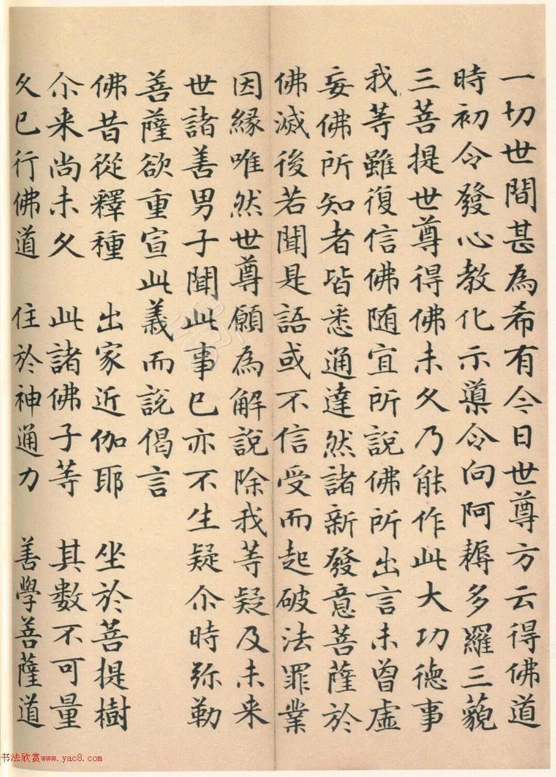 �����G���顶��������ᡷ����