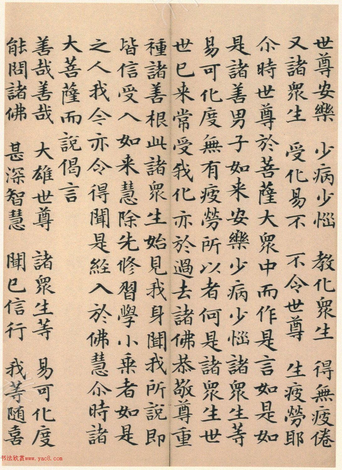 �����G���顶��������ᡷ����