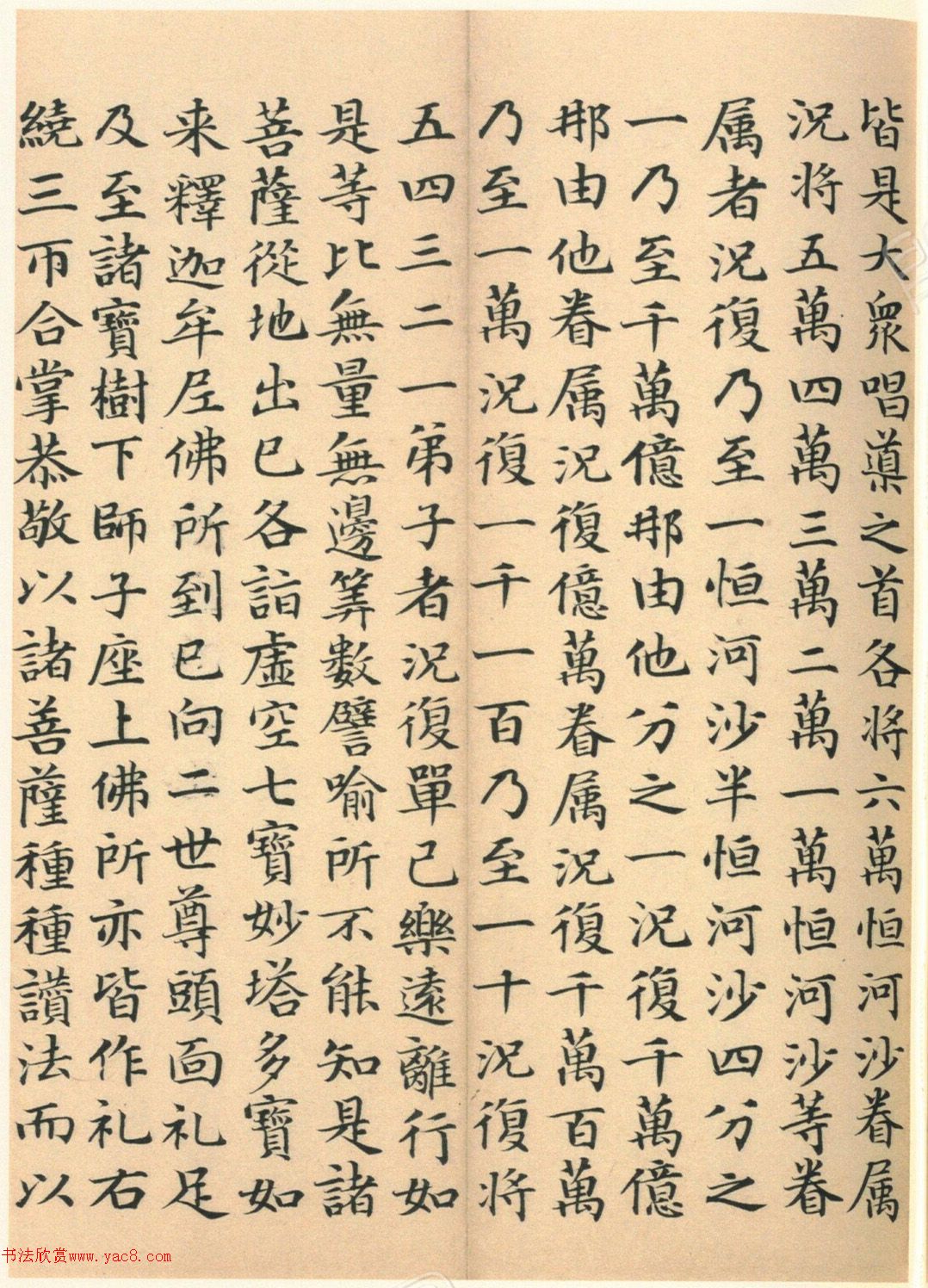 �����G���顶��������ᡷ����