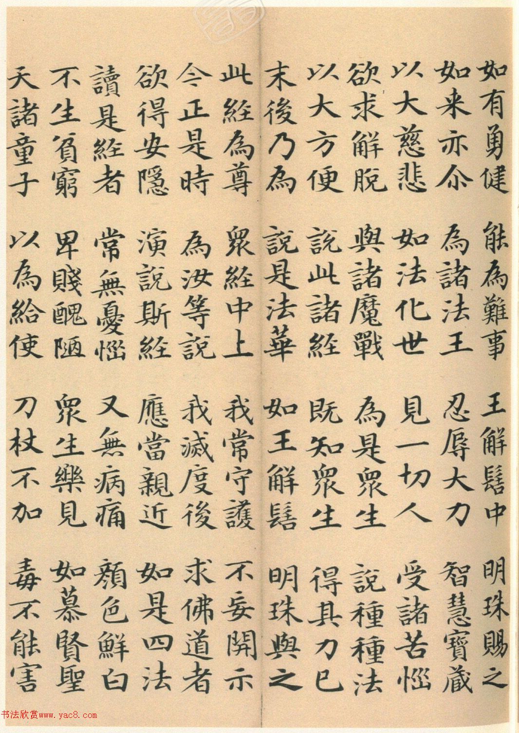 �����G���顶��������ᡷ����