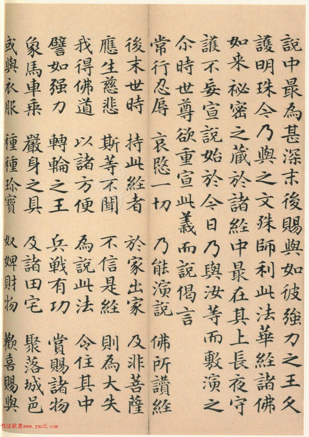 �����G���顶��������ᡷ����