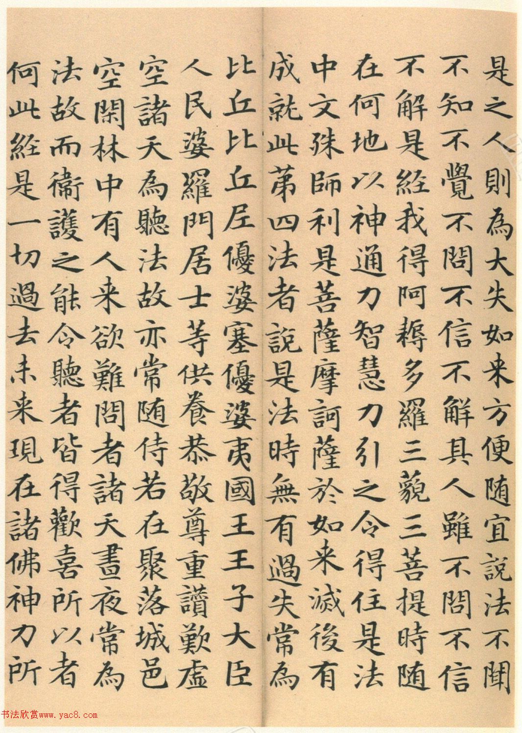 �����G���顶��������ᡷ����