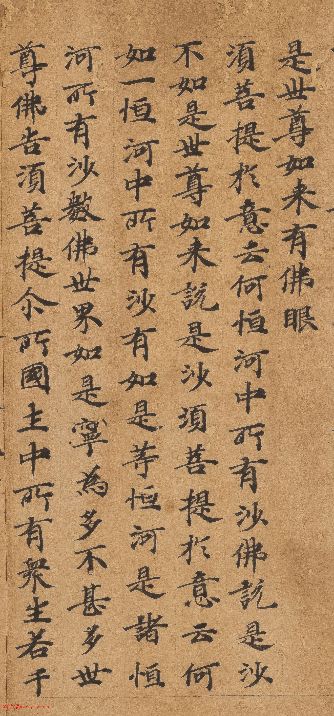 �ƴ����顶��վ�����