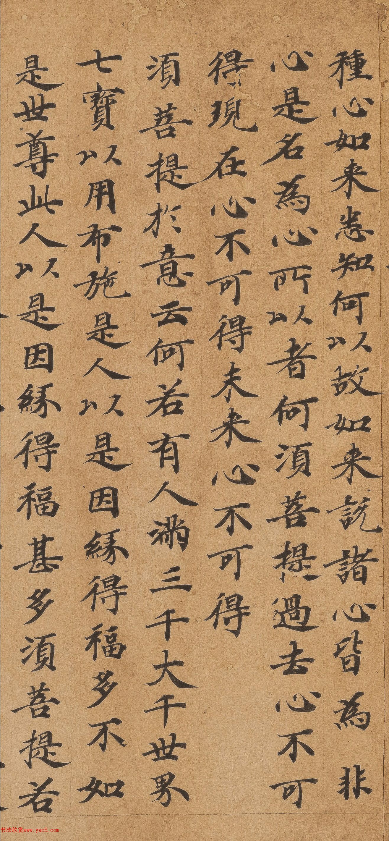 �ƴ����顶��վ�����