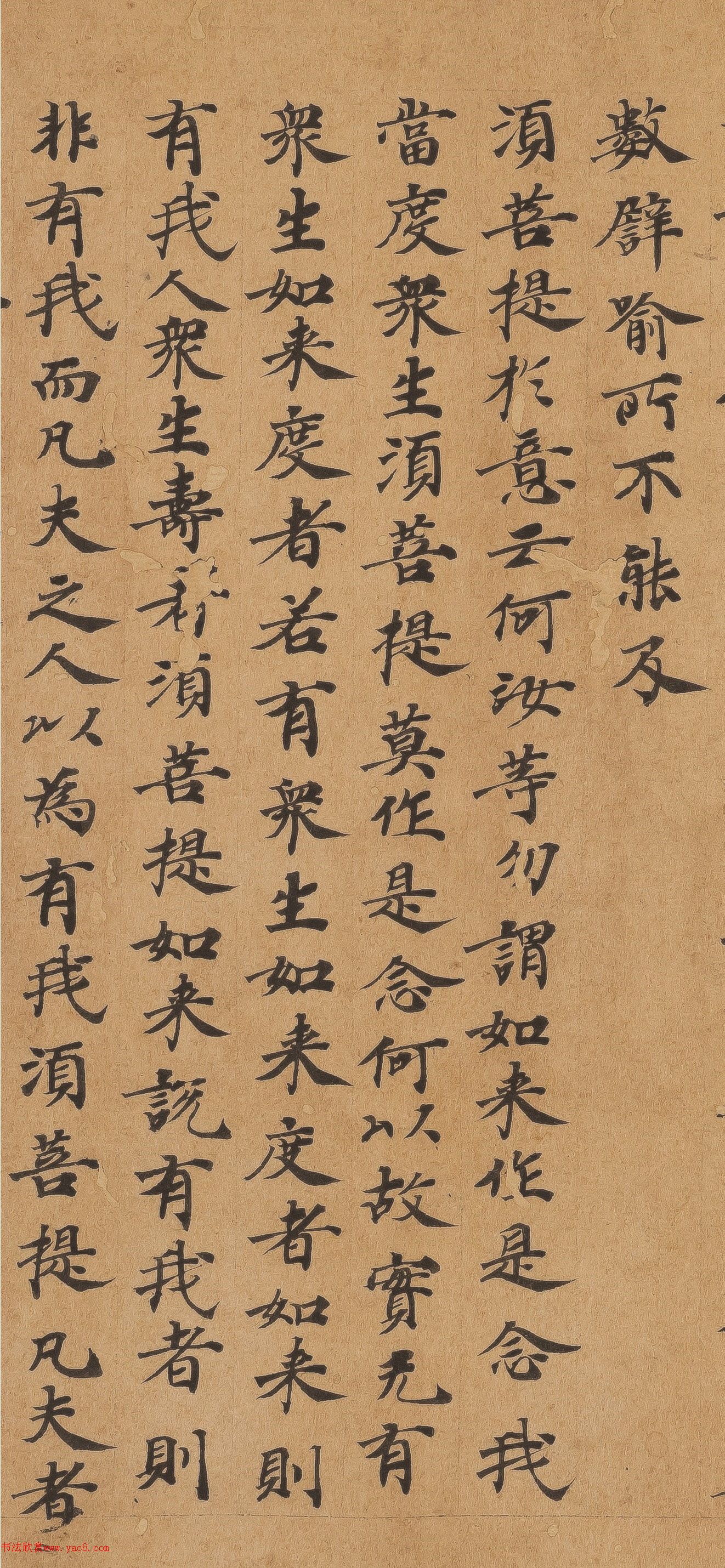 �ƴ����顶��վ�����