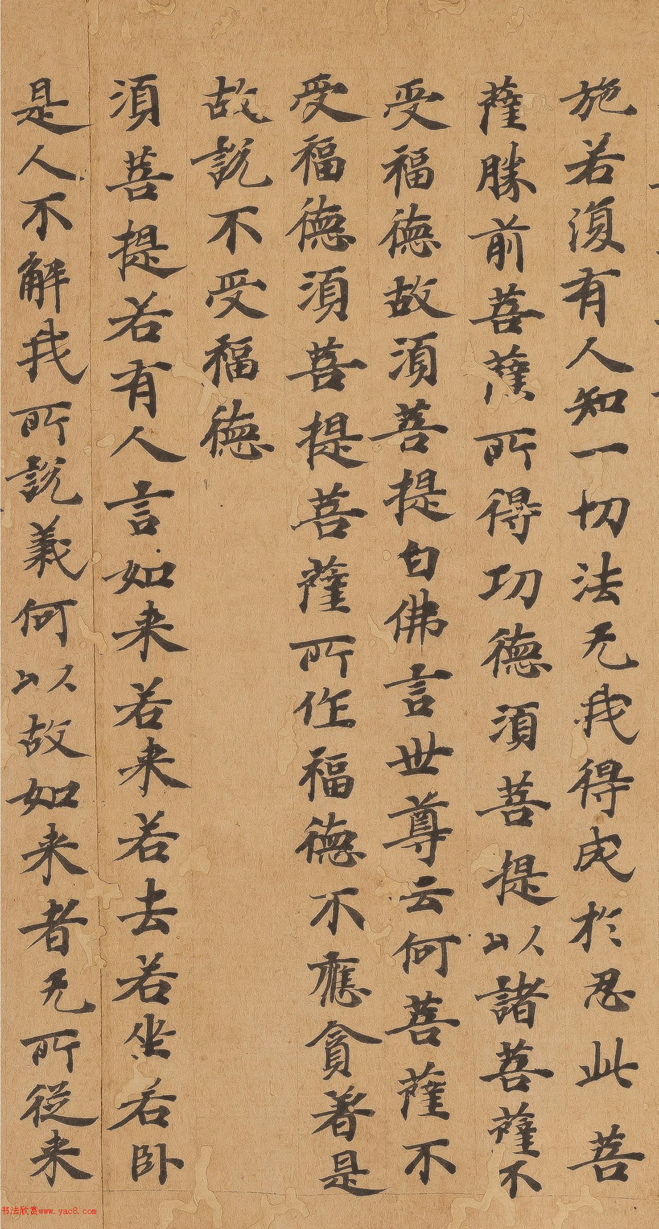 �ƴ����顶��վ�����