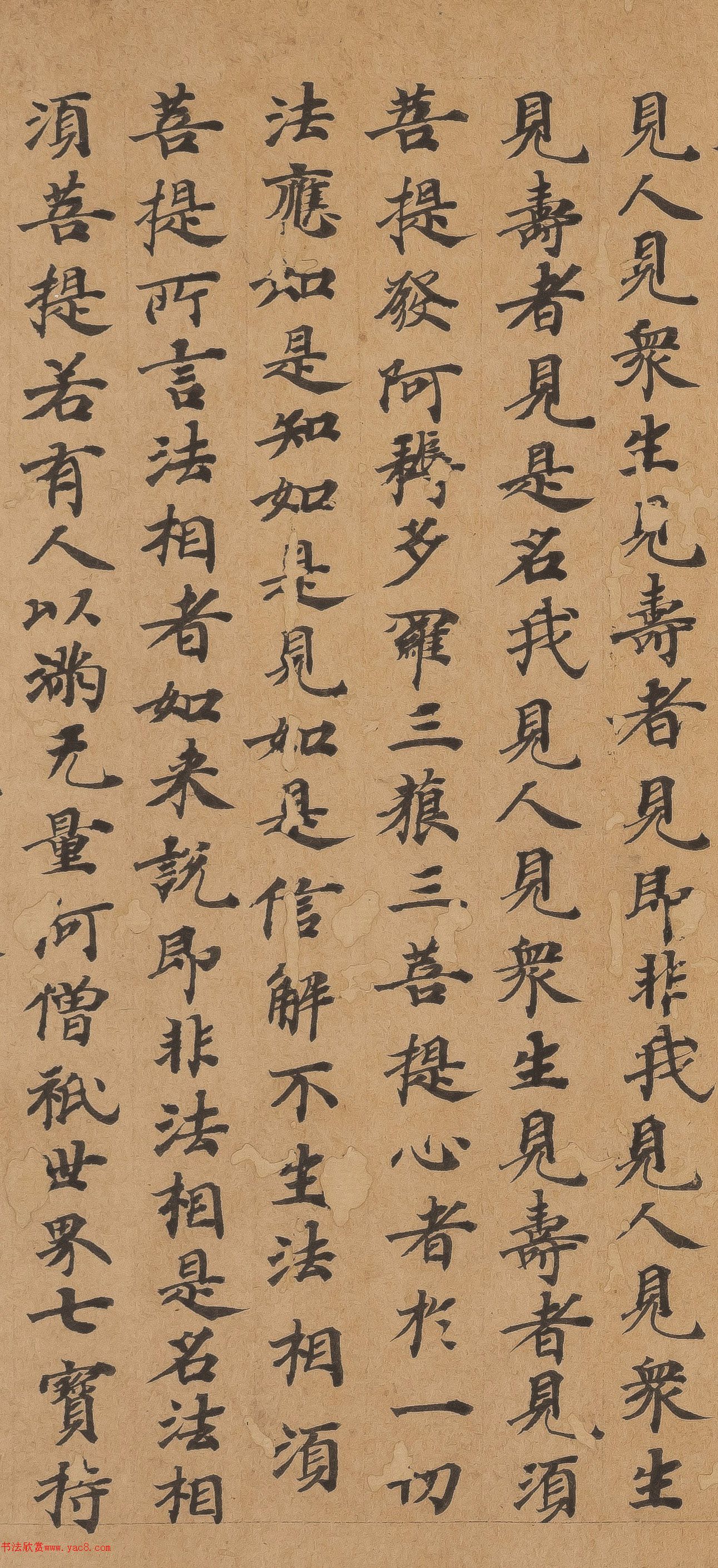 �ƴ����顶��վ�����