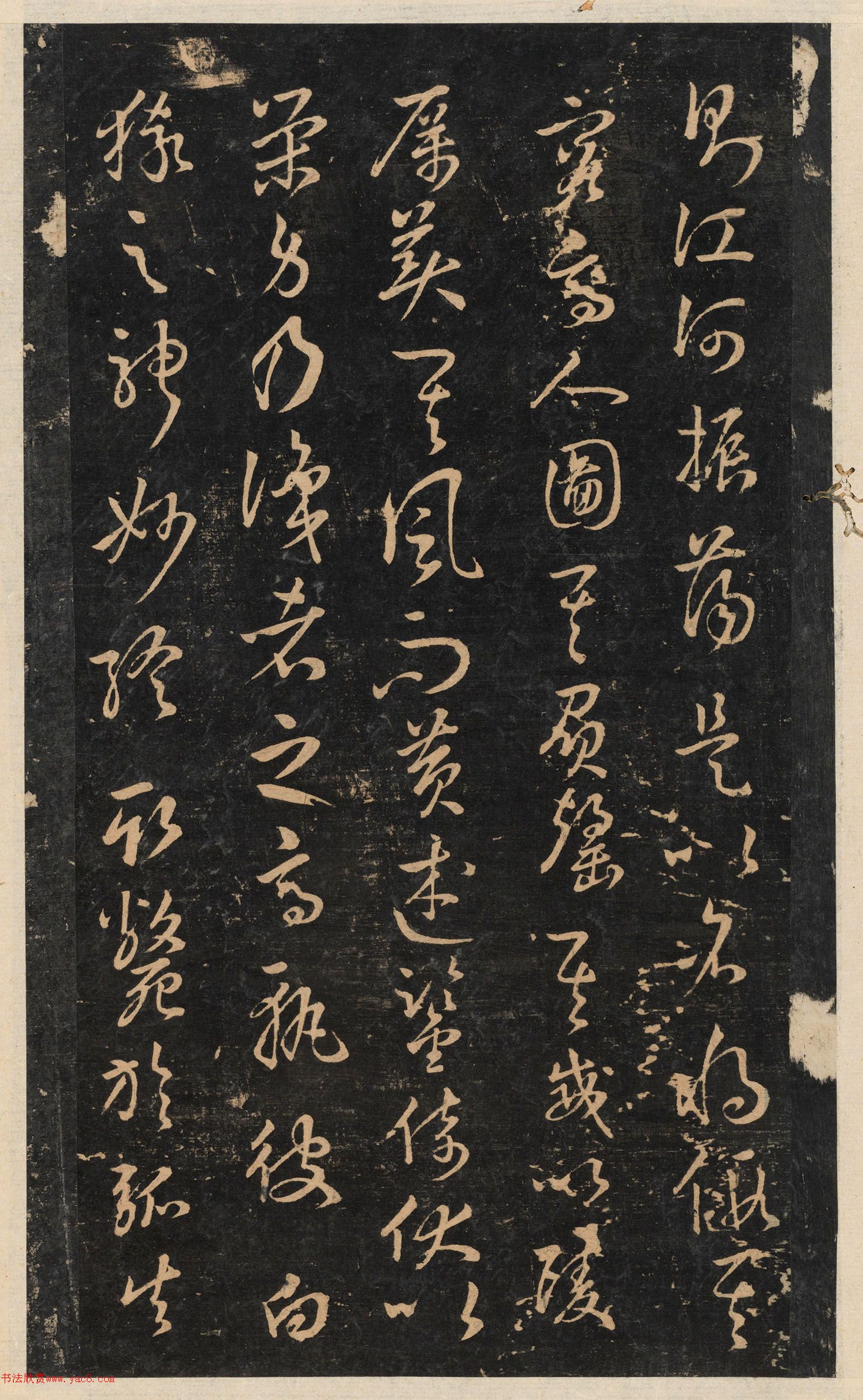 ���ͥ���顶ʨ�Ӹ���