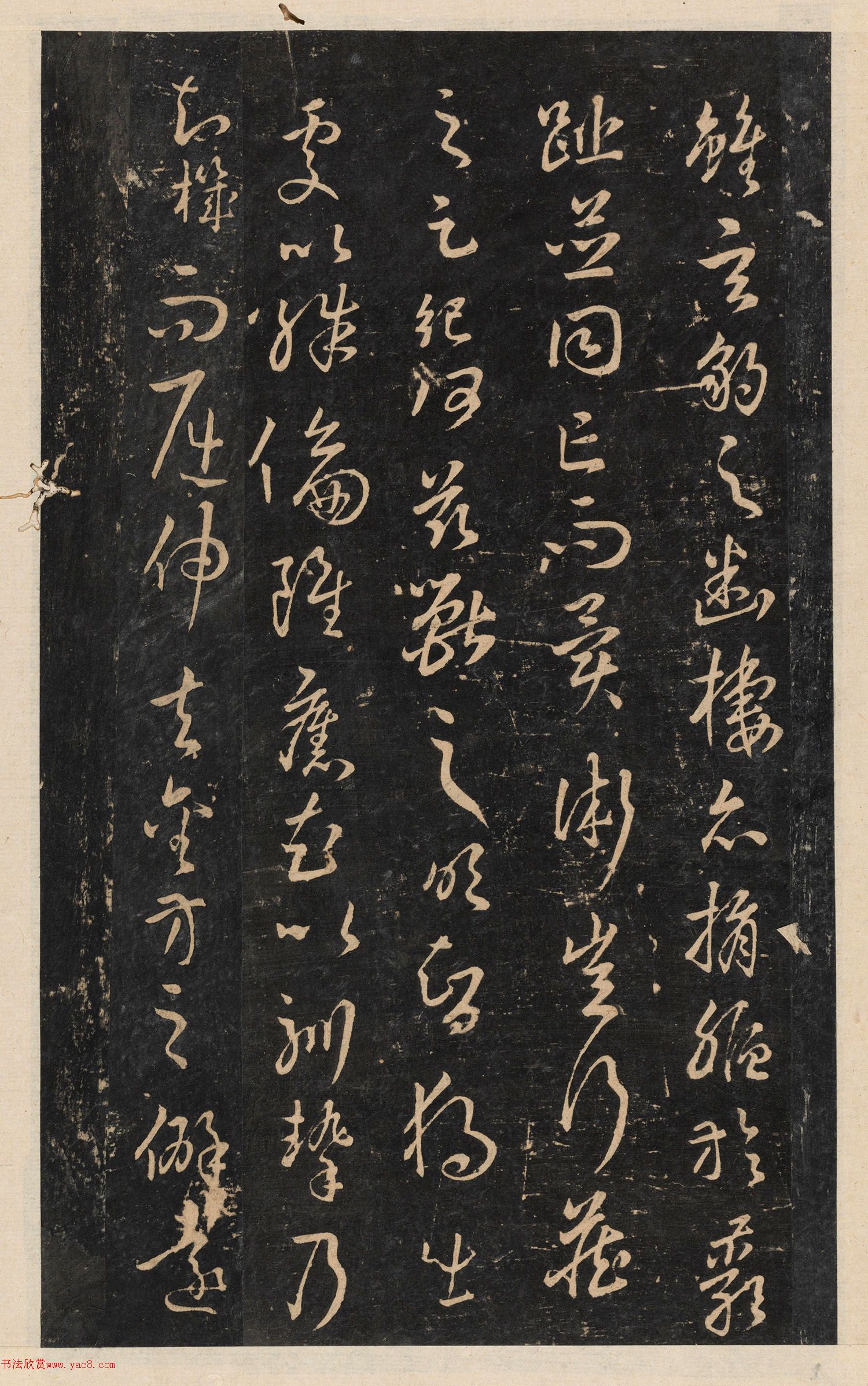 ���ͥ���顶ʨ�Ӹ���