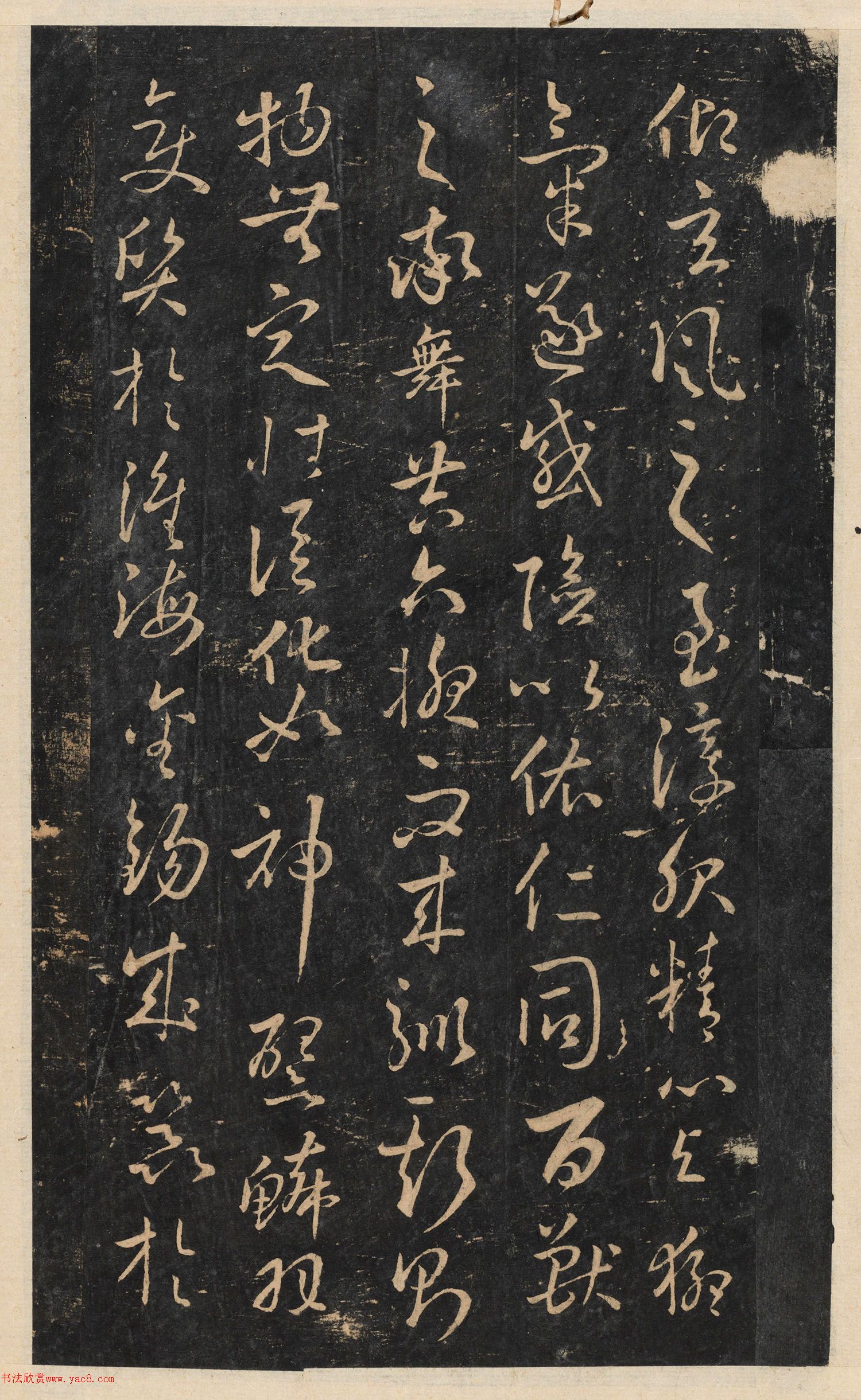 ���ͥ���顶ʨ�Ӹ���