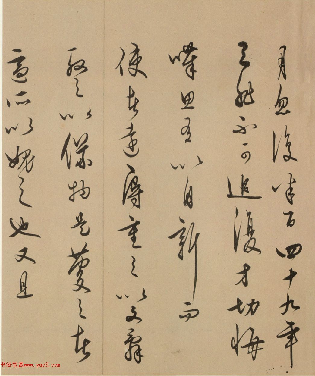 �������в��顶�Ĺ�Ω��������