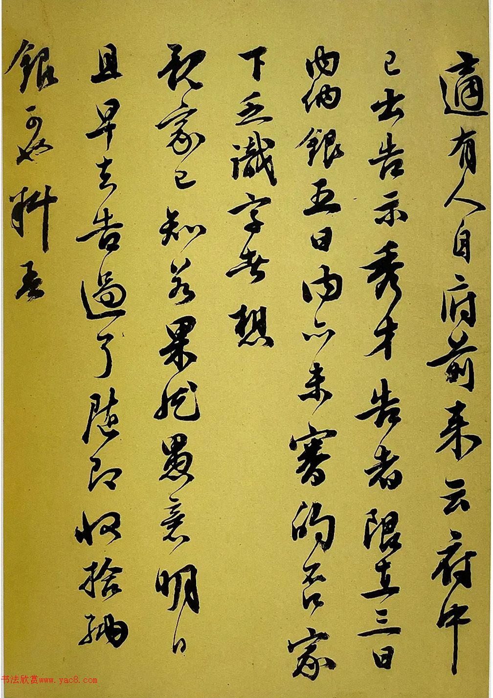 ף�����в��顶��������