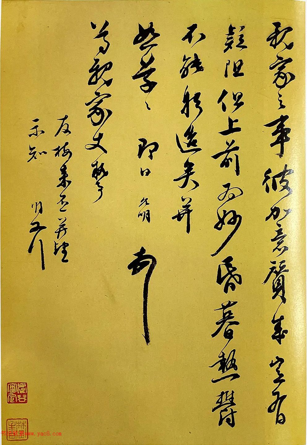 ף�����в��顶��������